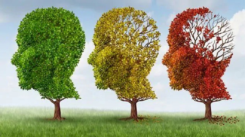 Persone con danno cognitivo (Alzheimer o altro tipo di demenza): cosa fare